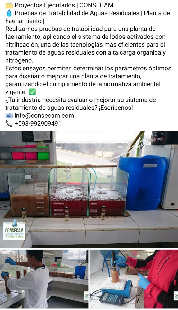 Experiencia CONSECAM