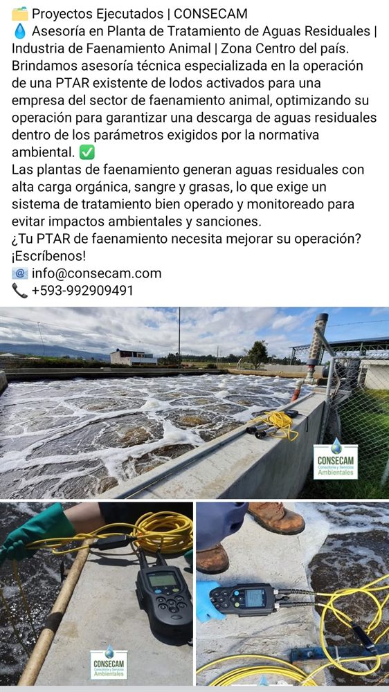 Experiencia CONSECAM
