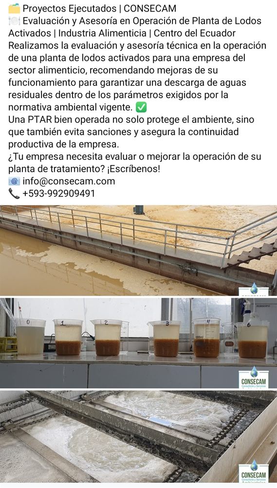 Experiencia CONSECAM