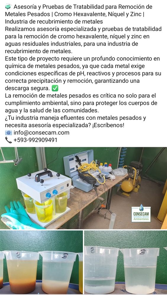 Experiencia CONSECAM