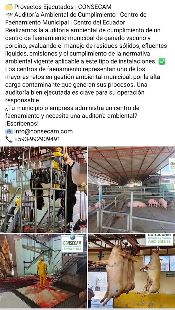 Experiencia CONSECAM