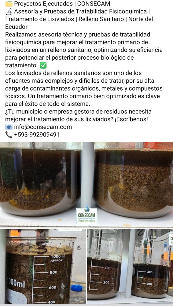Experiencia CONSECAM