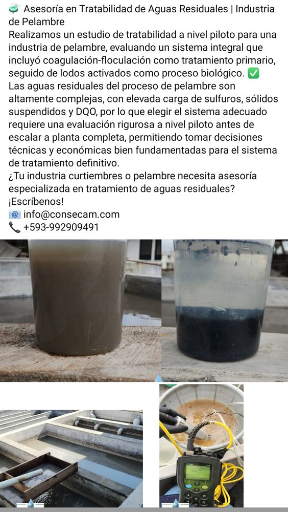 Experiencia CONSECAM