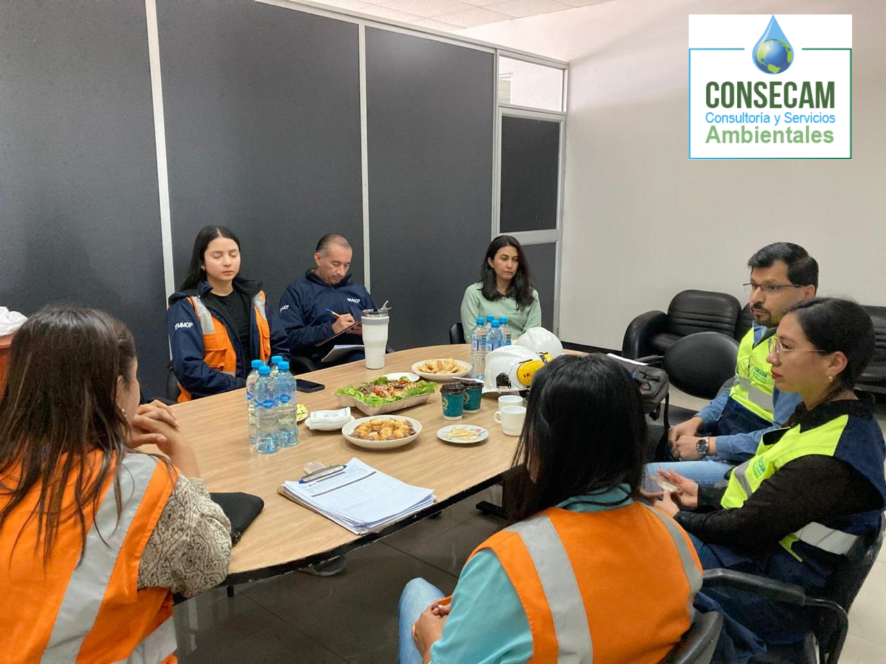 Consultoría ambiental